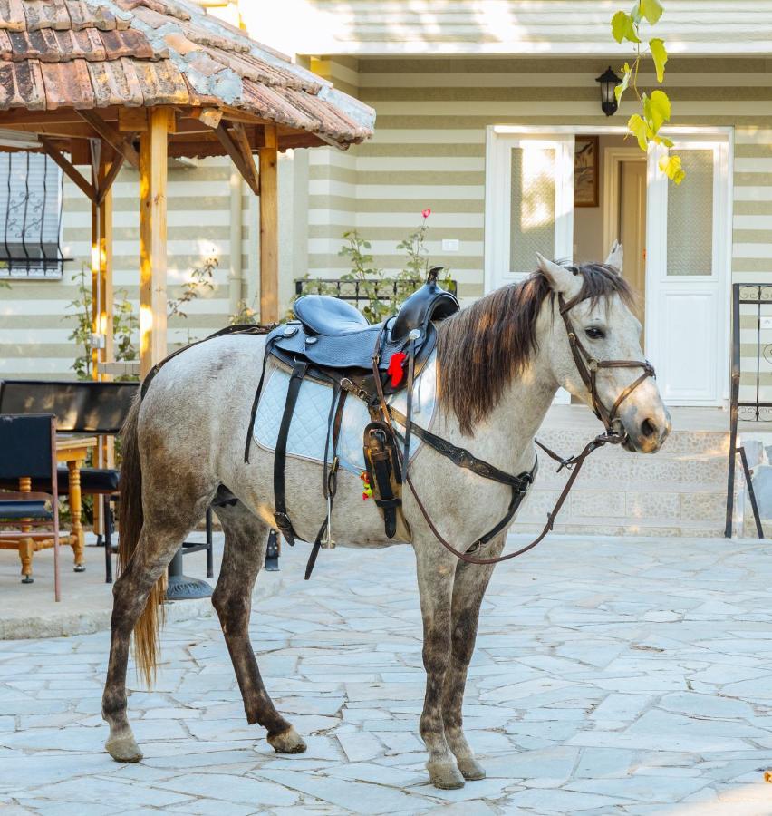 Vila 1 Korça Kültér fotó
